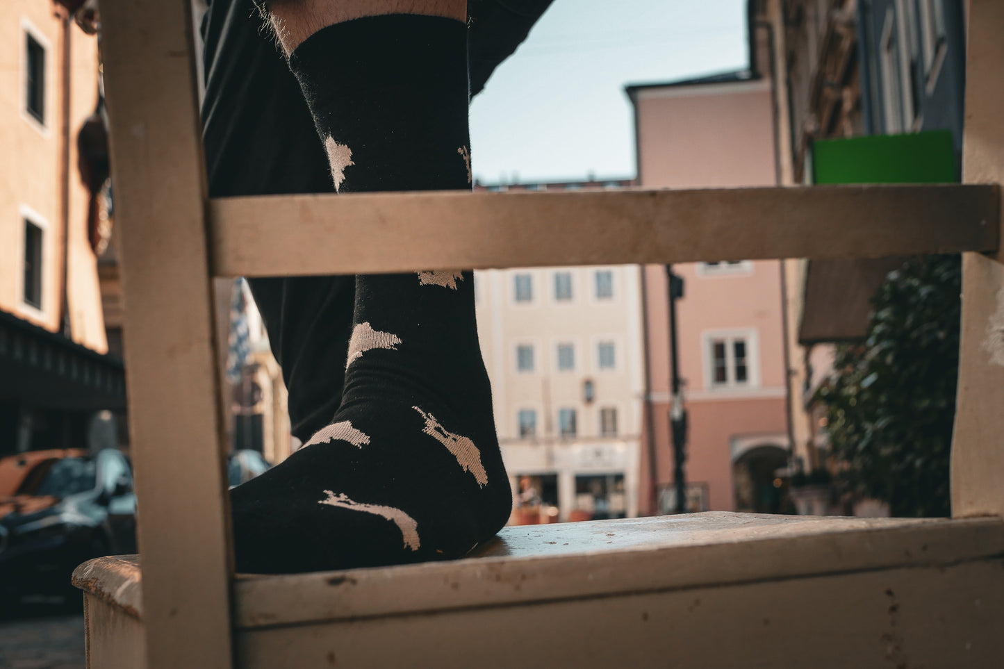 Socken Chiemsee Silhouette