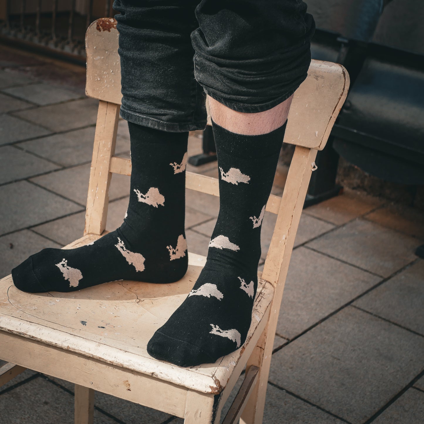Socken Chiemsee Silhouette